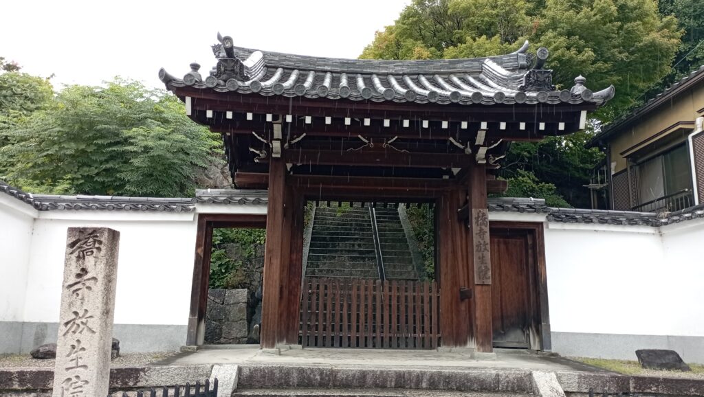 a Hashidera kapuja
